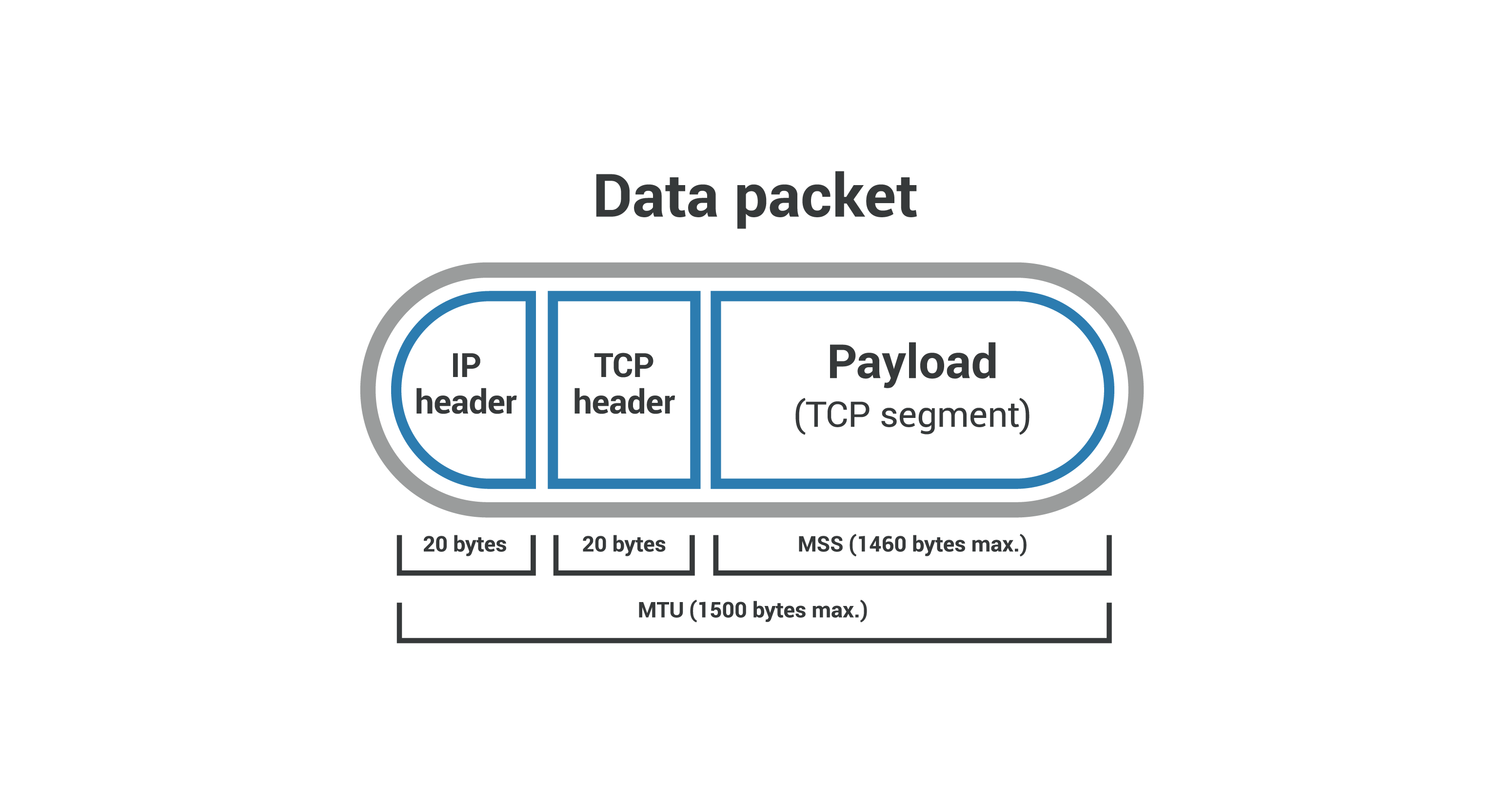 Intestazioni e payload dei pacchetti dati - Segmento TCP e MSS